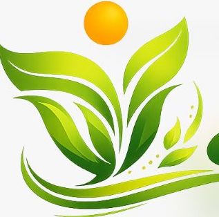 8866体育