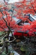 日韩AV人妻无码-日韩AV人妻题材的多元视角与文化探讨